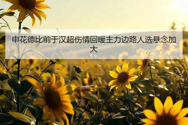 申花德比前于汉超伤情回暖主力边路人选悬念加大